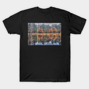 Autumn Pond T-Shirt